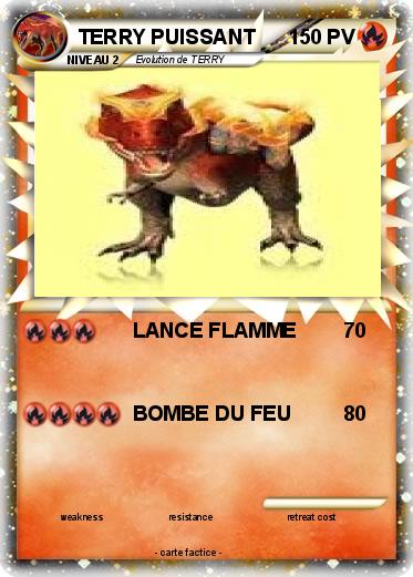 Pokemon TERRY PUISSANT