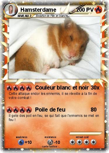 Pokemon Hamsterdame