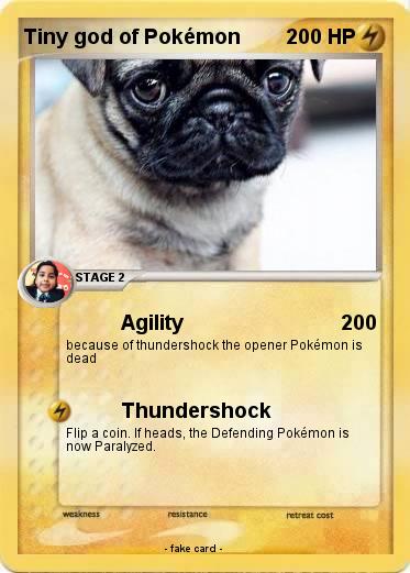 Pokemon Tiny god of Pokémon