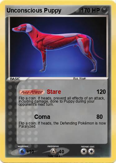 Pokemon Unconscious Puppy