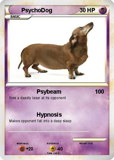 Pokemon PsychoDog