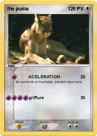 Pokemon the puma