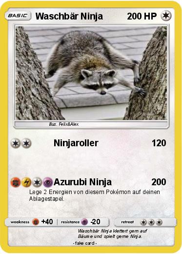 Pokemon Waschbär Ninja