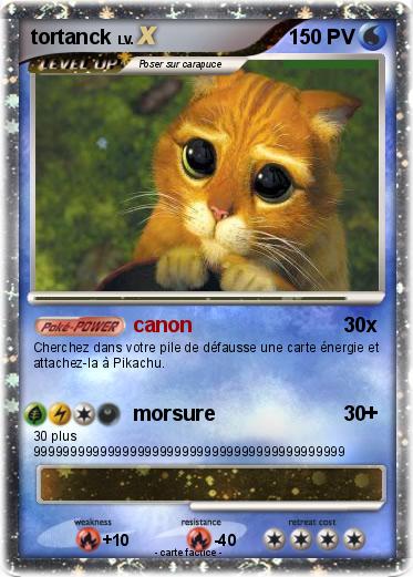 Pokemon tortanck