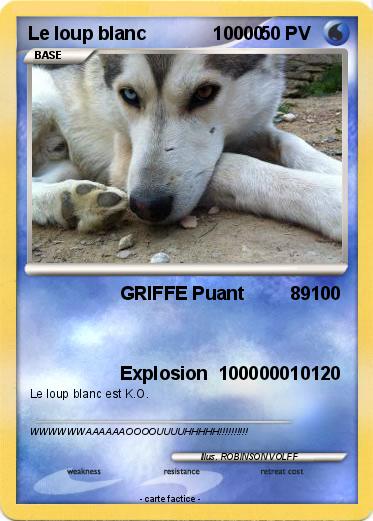 Pokemon Le loup blanc             10000