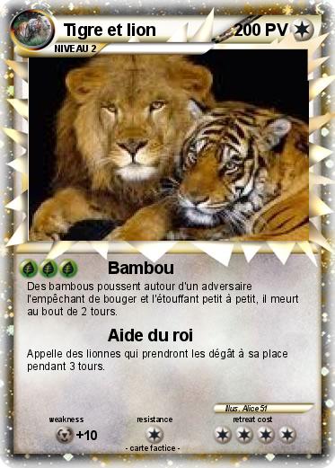 Pokemon Tigre et lion