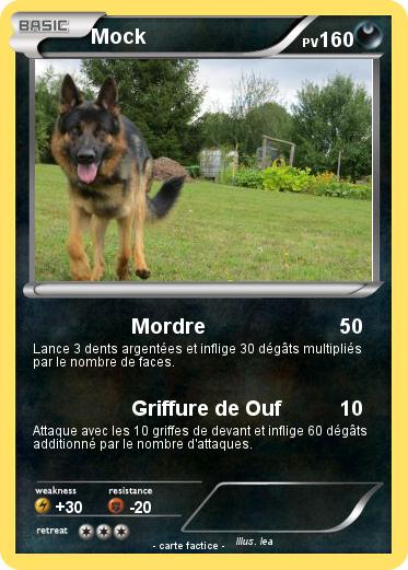 Pokemon Mock