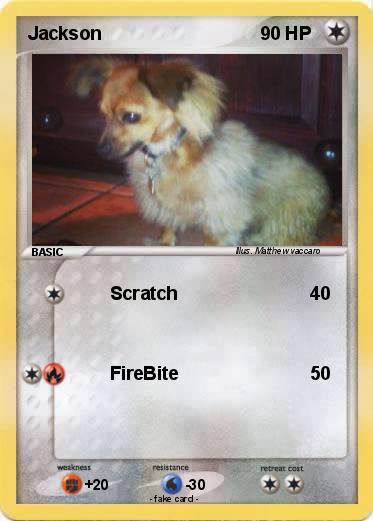 Pokemon Jackson