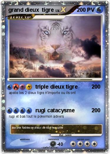 Pokemon grand dieux  tigre