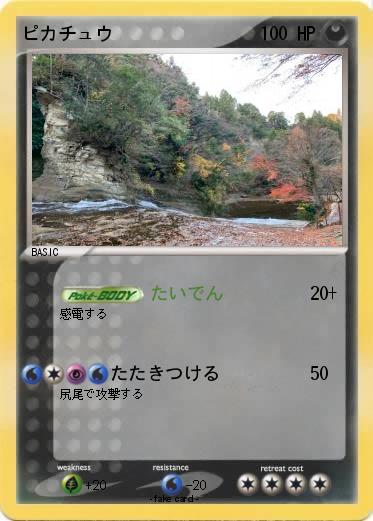 Pokemon ピカチュウ