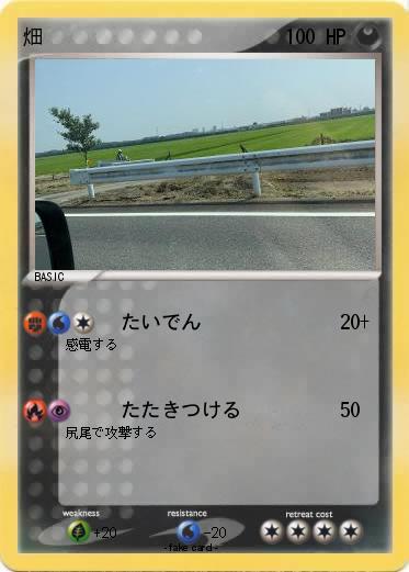 Pokemon 畑