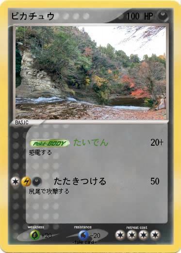 Pokemon ピカチュウ