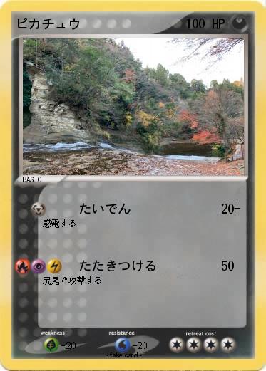 Pokemon ピカチュウ
