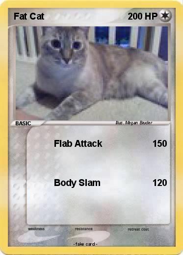 Pokemon Fat Cat