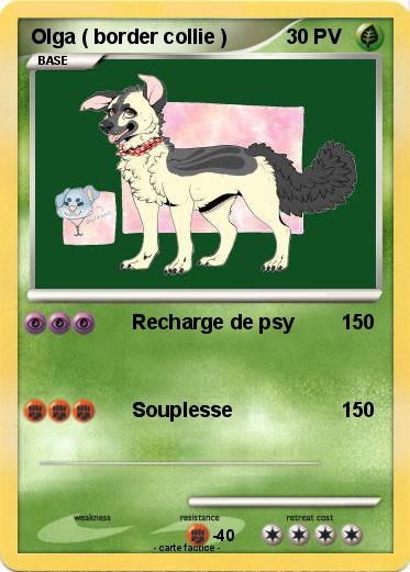 Pokemon Olga ( border collie )