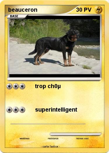 Pokemon beauceron