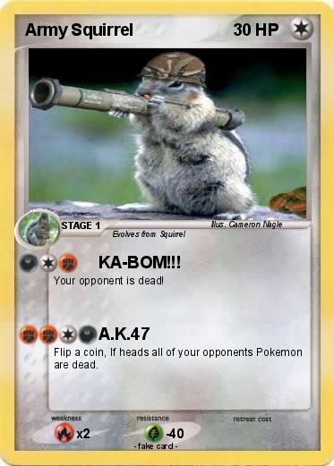 Pokemon Army Squirrel