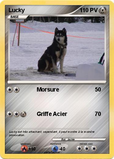 Pokemon Lucky