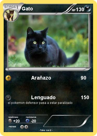 Pokemon Gato