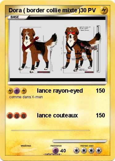 Pokemon Dora ( border collie mixte )