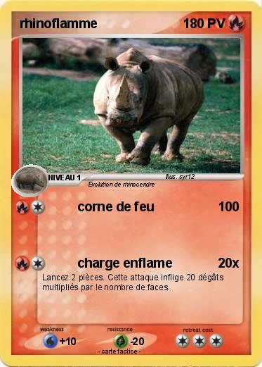 Pokemon rhinoflamme