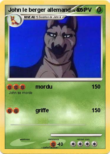 Pokemon John le berger allemand