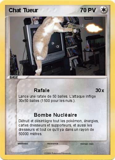 Pokemon Chat Tueur