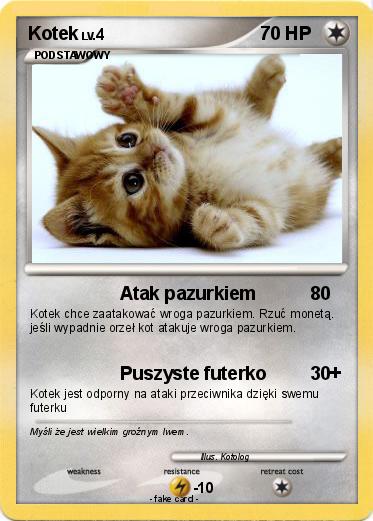 Pokemon Kotek