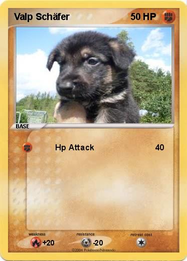 Pokemon Valp Schäfer