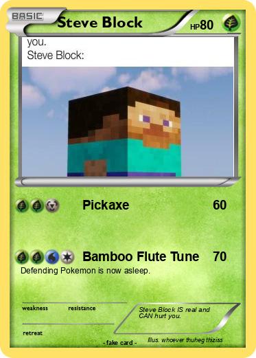 Pokemon Steve Block