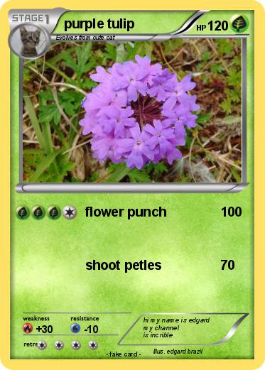 Pokemon purple tulip