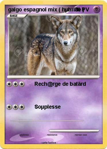 Pokemon galgo espagnol mix ( hµbride )