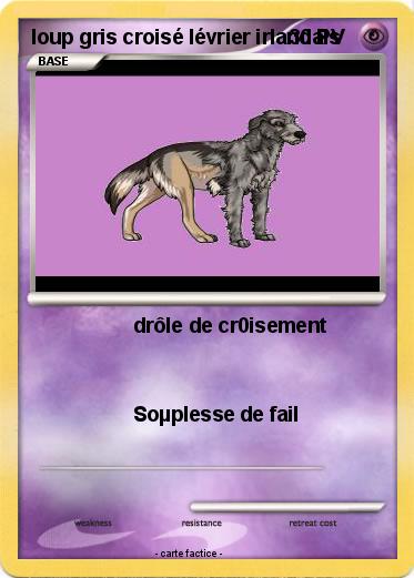 Pokemon loup gris croisé lévrier irlandais