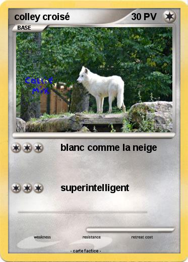 Pokemon colley croisé