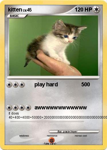 Pokemon kitten