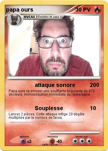 Pokemon papa ours