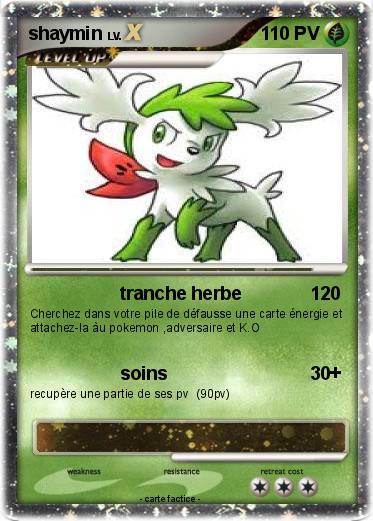 Pokemon shaymin