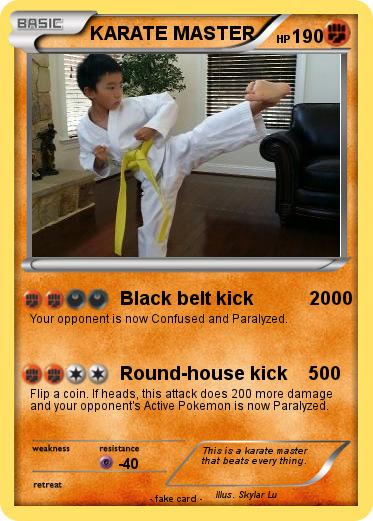Pokemon KARATE MASTER
