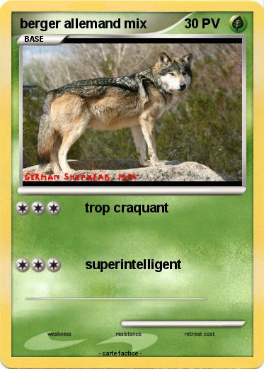 Pokemon berger allemand mix