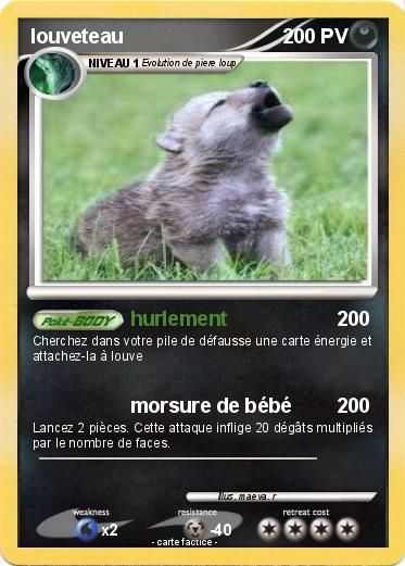 Pokemon louveteau