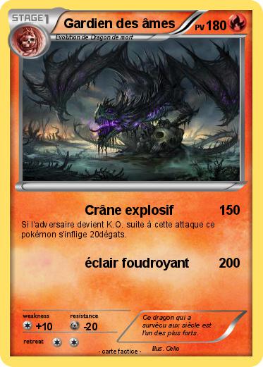 Pokemon Gardien des âmes