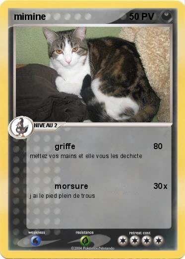 Pokemon mimine