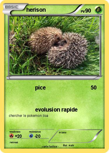 Pokemon herison
