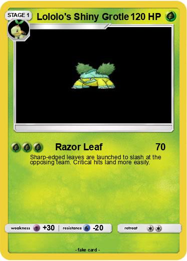 Pokemon Lololo's Shiny Grotle