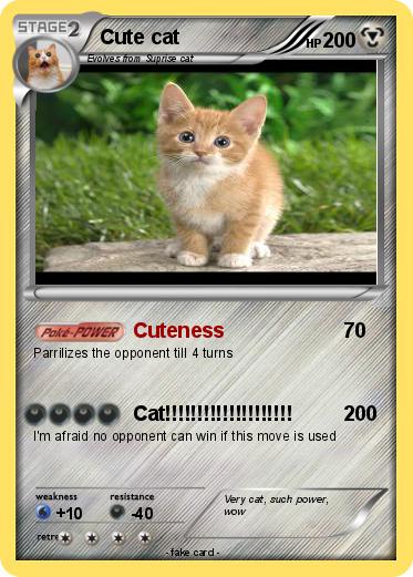 Pokemon Cute cat