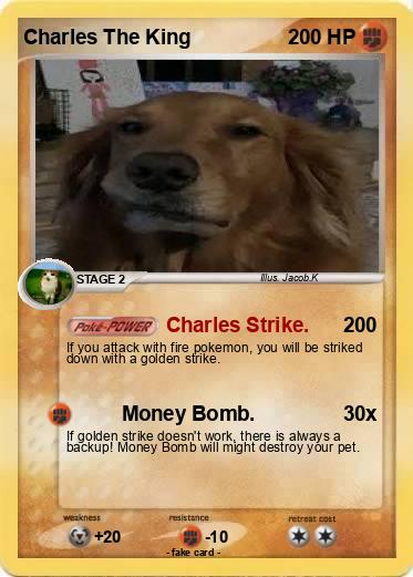 Pokemon Charles The King