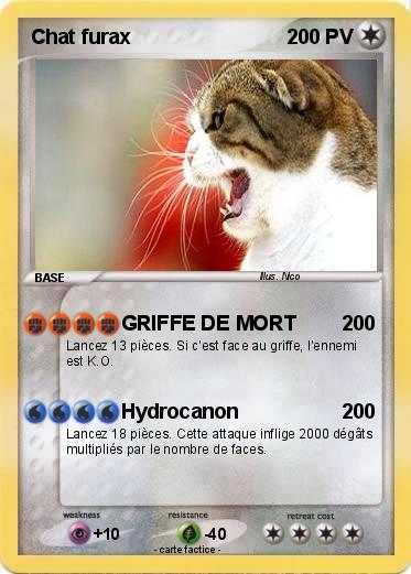 Pokemon Chat furax
