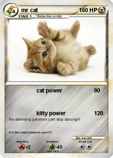 Pokemon mr cat