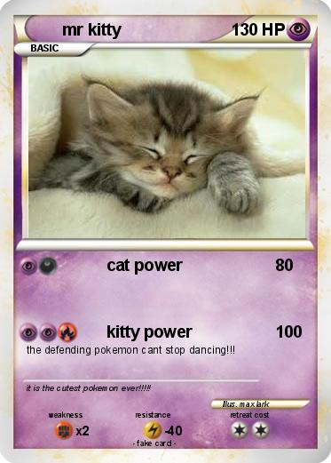 Pokemon mr kitty