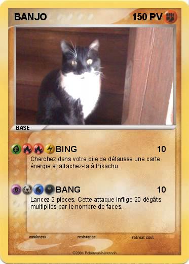 Pokemon BANJO